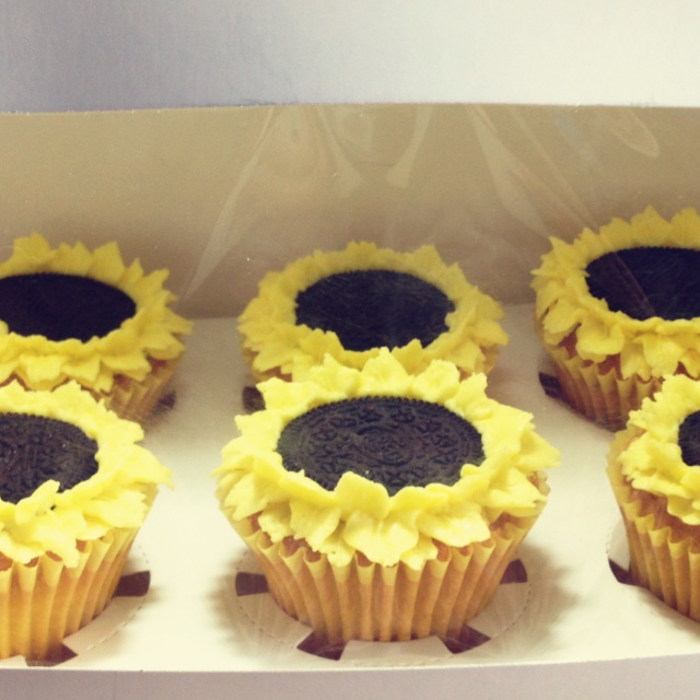 奥利奥向日葵纸杯蛋糕cupcake