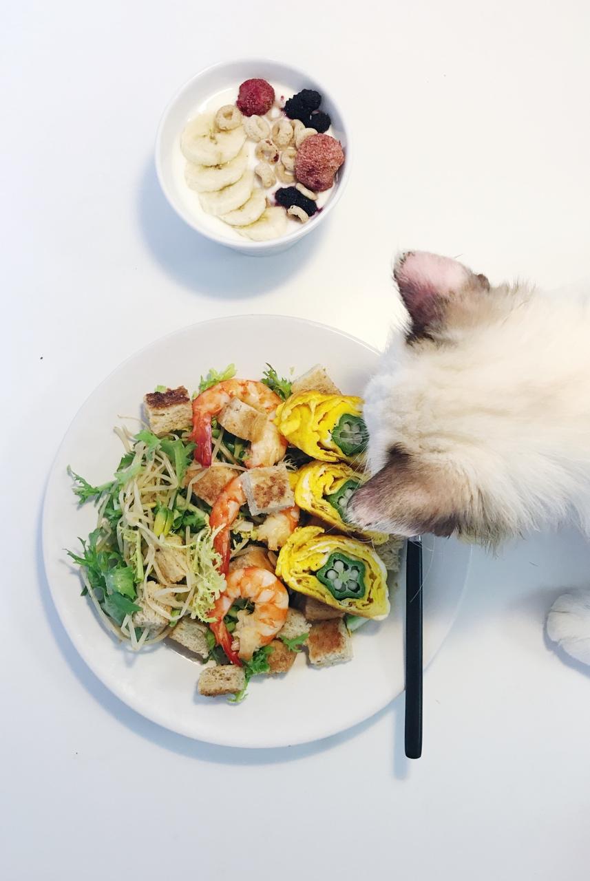 一人食