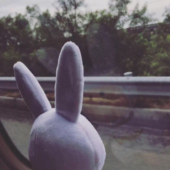 阳杨洋