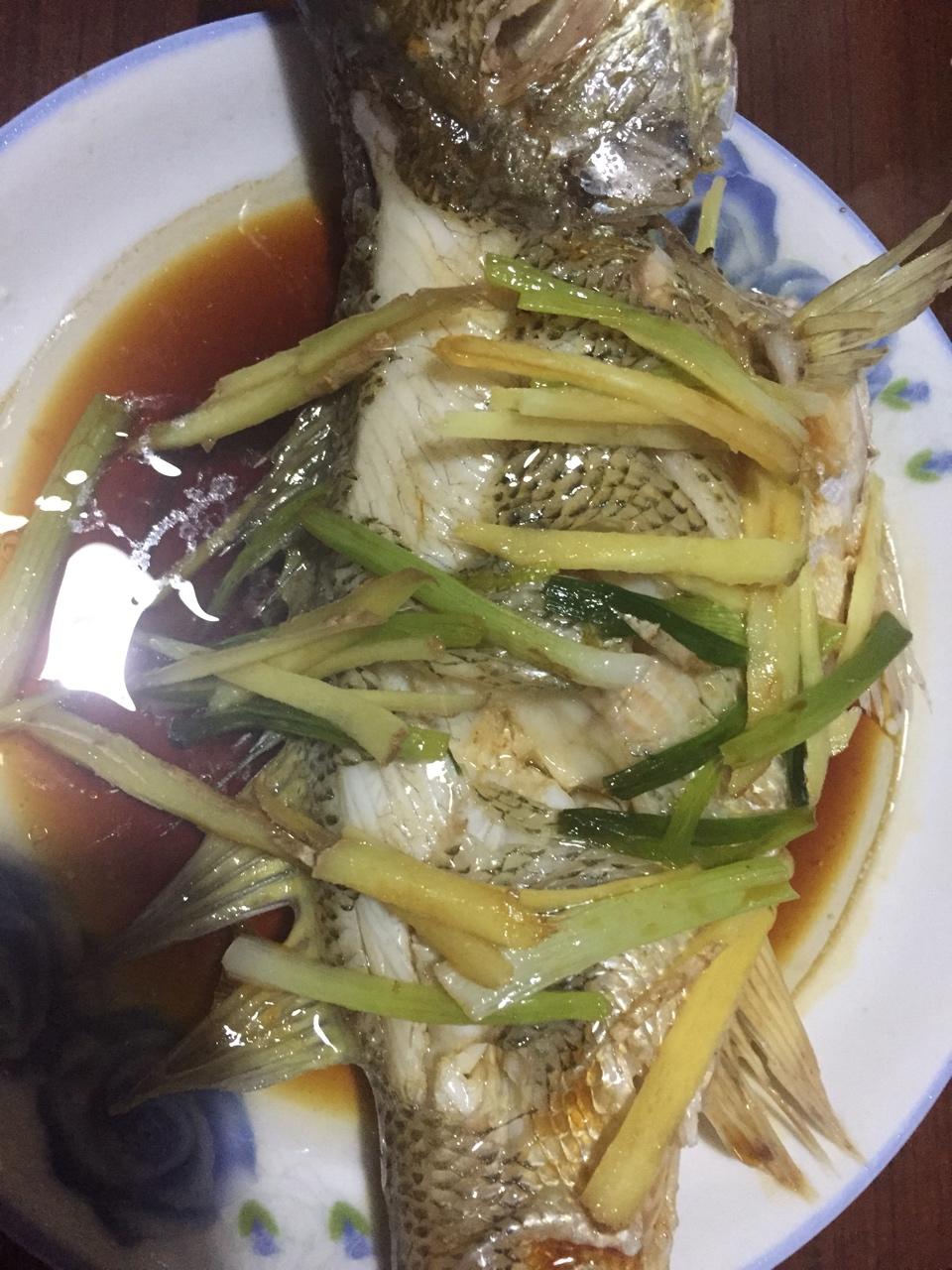 超入味清蒸鱼～清蒸鲈鱼桂花鱼（家常独创）