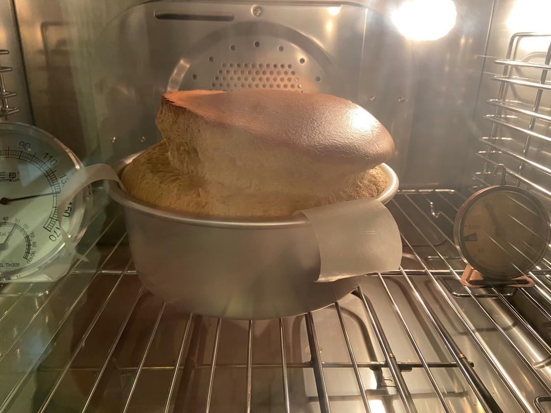 魔法年糕～非试不可的新网红来啦