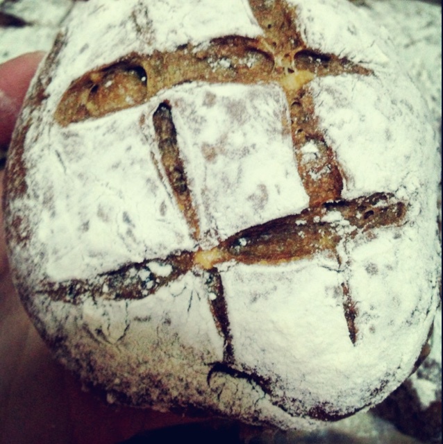 欧式红酒葡萄干面包