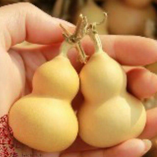 点亮那两盏心灯