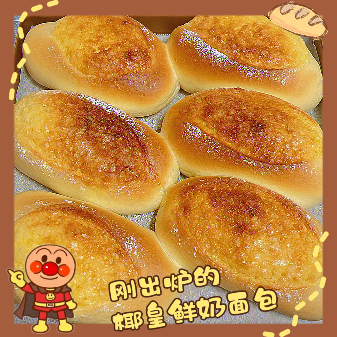 椰皇鲜奶包