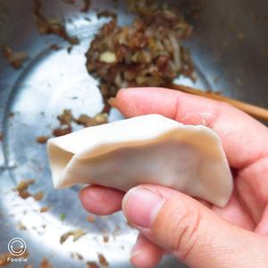 鲜肉白菜扇贝丁水饺（附饺子包法）的做法 步骤7