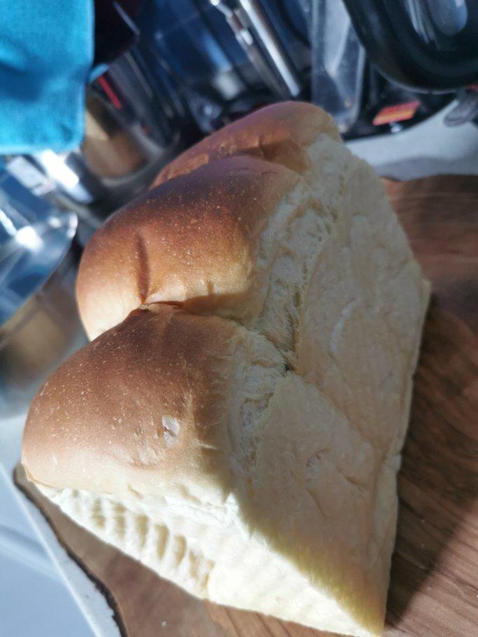 波兰种——最详细的状态攻略