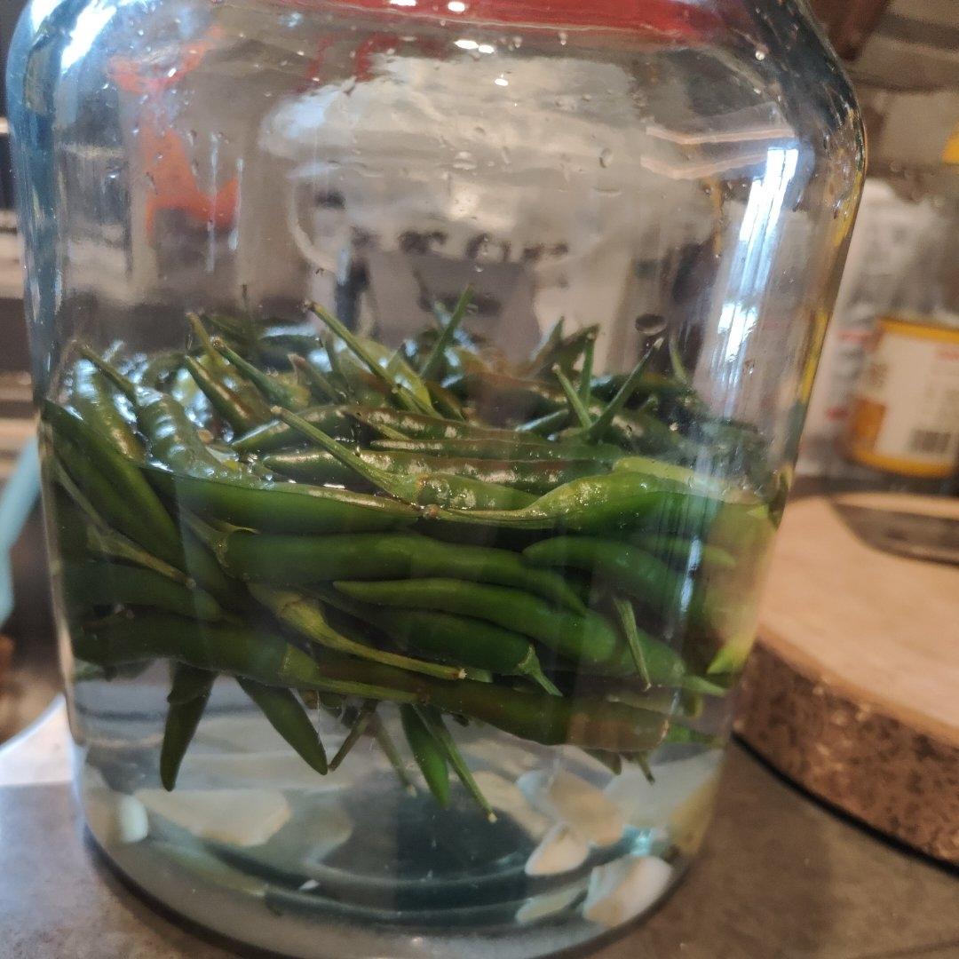 自制泡椒（腌小米椒）