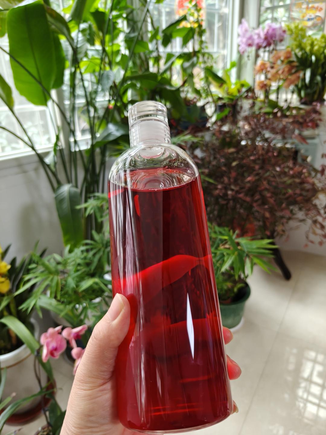 荞麦醋泡玫瑰花🌹