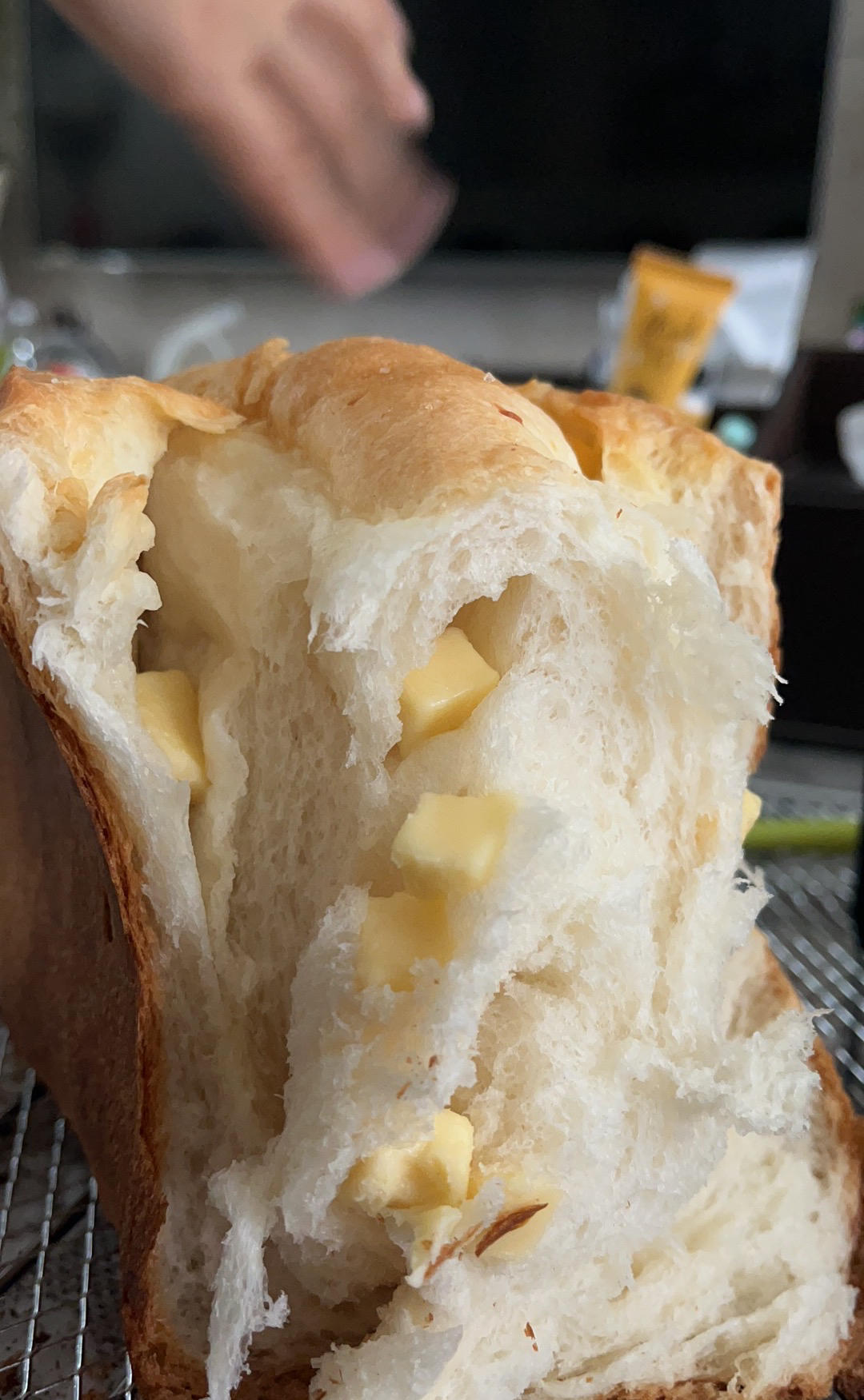 咸香松软--海盐乳酪吐司