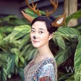 南山小鹿