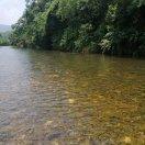 微信用戶_lHkE_vn3l