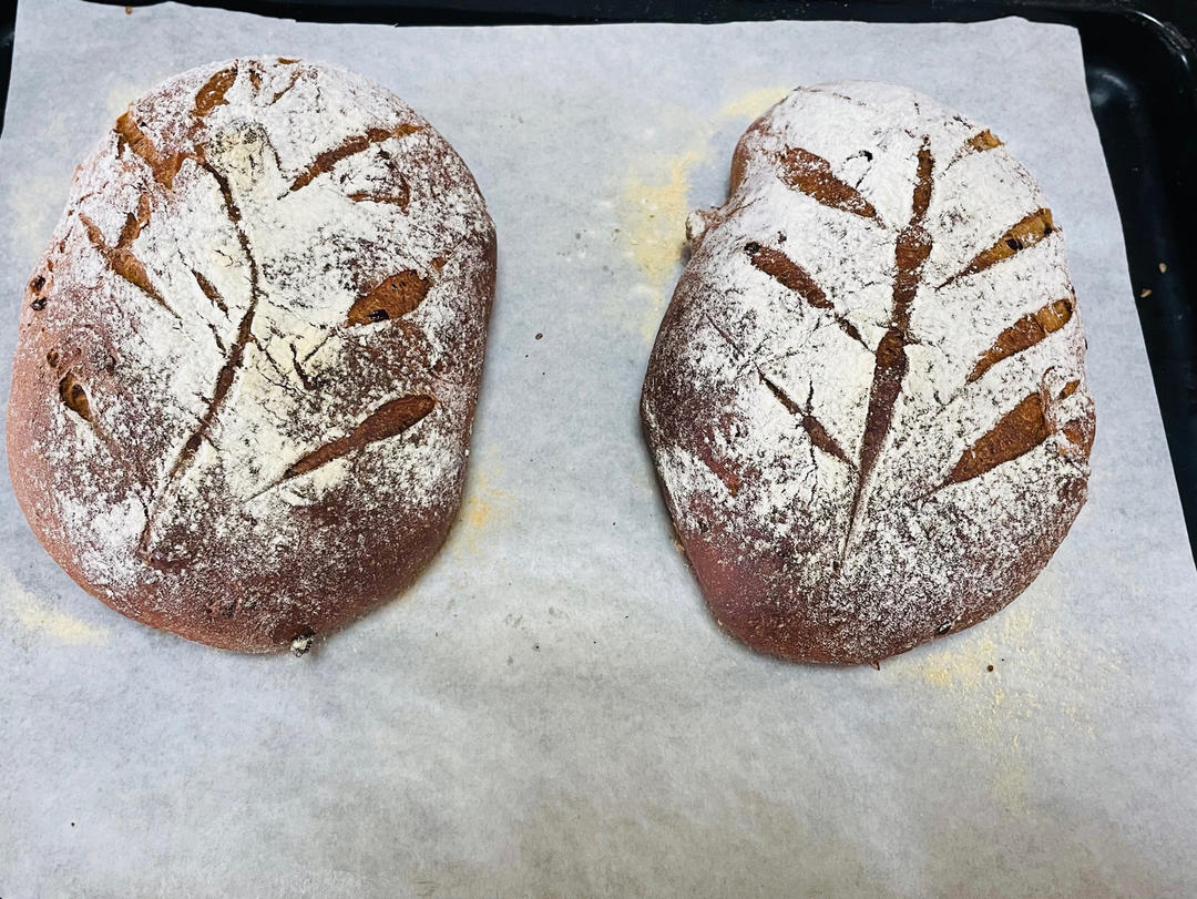 全麦蔓越莓核桃软欧包