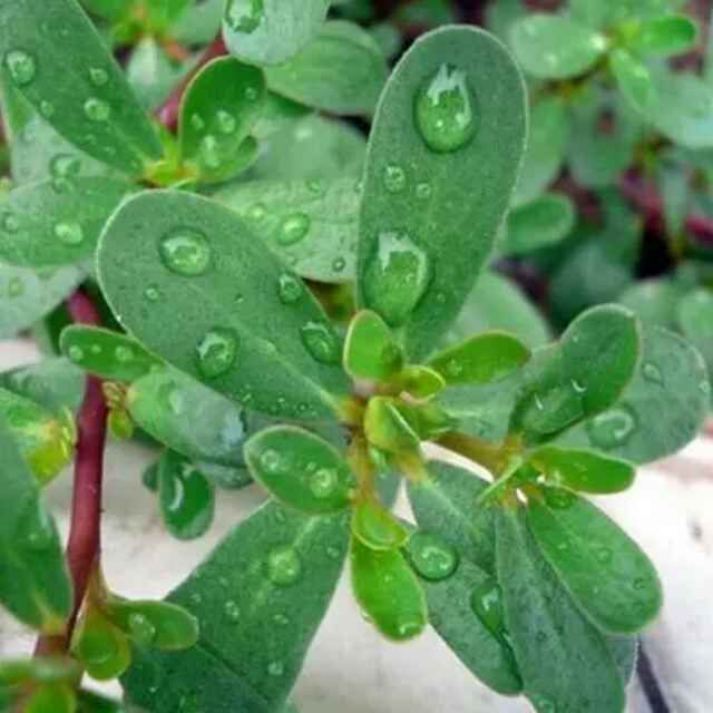 ꧁༺俞小静༻ ꧂