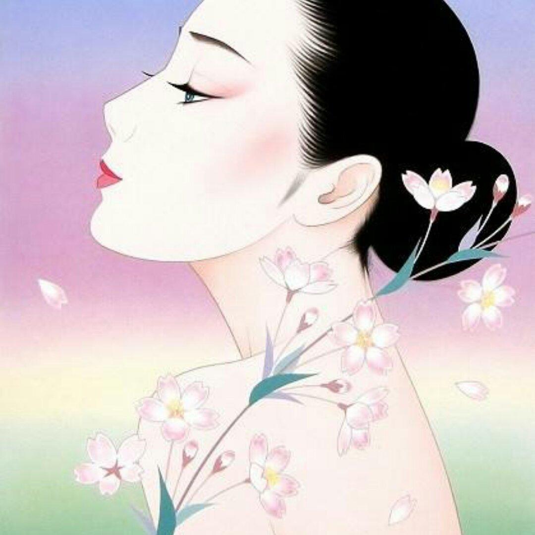 紫风-2