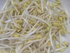 干煸黄豆芽的做法 步骤2
