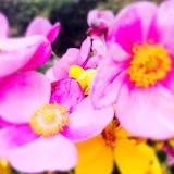 新鲜私房菜