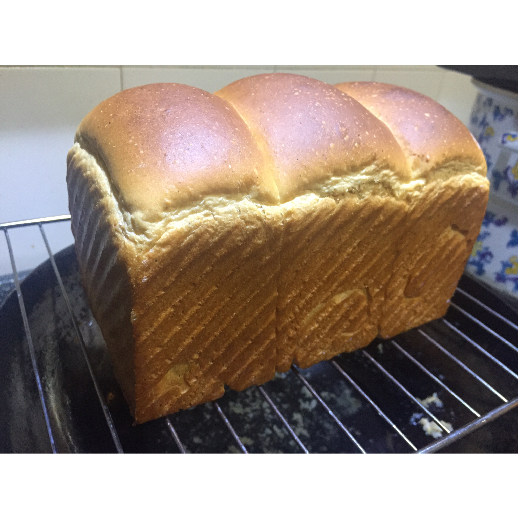 一整个蛋吐司（超好记的万能吐司配方）