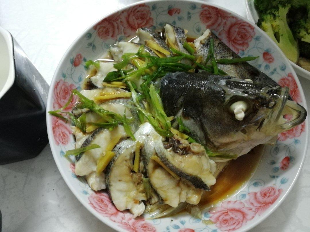 孔雀海鲈鱼