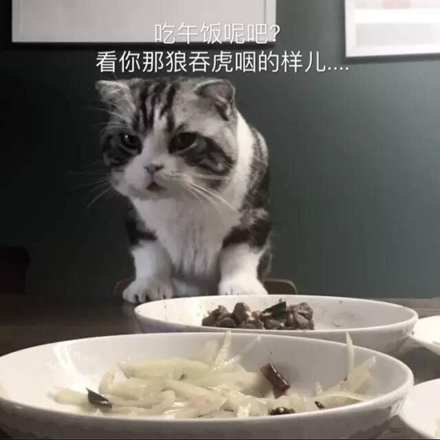 蕃茄叽哩