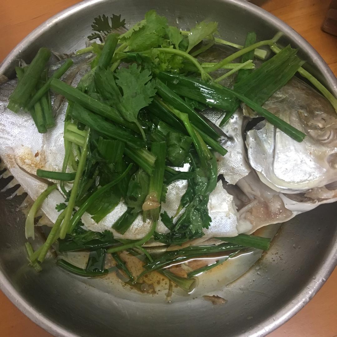 清蒸鲳鱼（仓鱼）