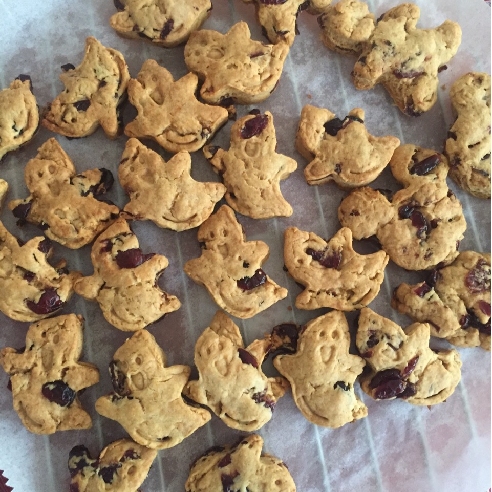 （无黄油）健康奶香提子酥饼