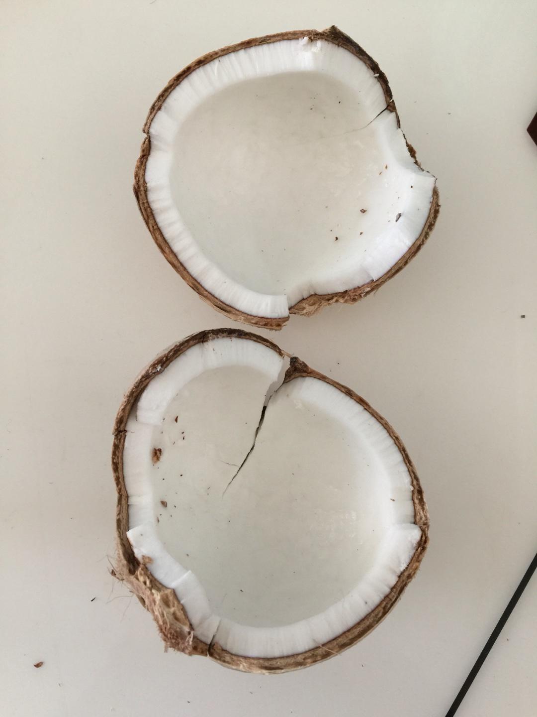 徒手开椰子取椰肉