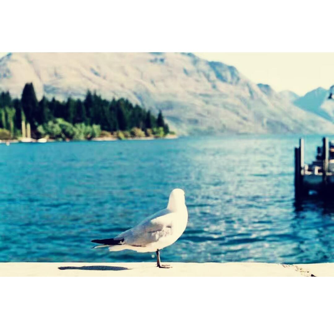 幸福的源泉在奉献.....