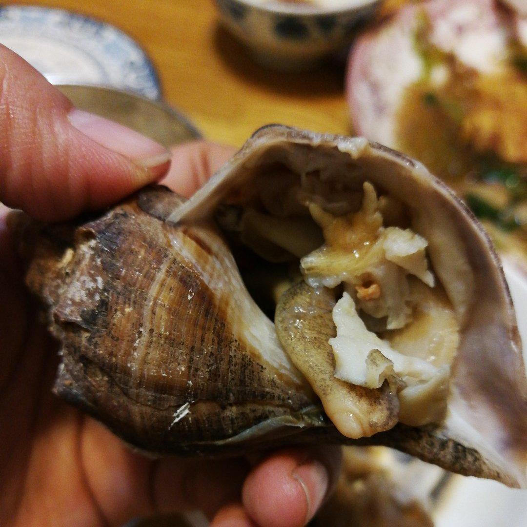 大海螺做法