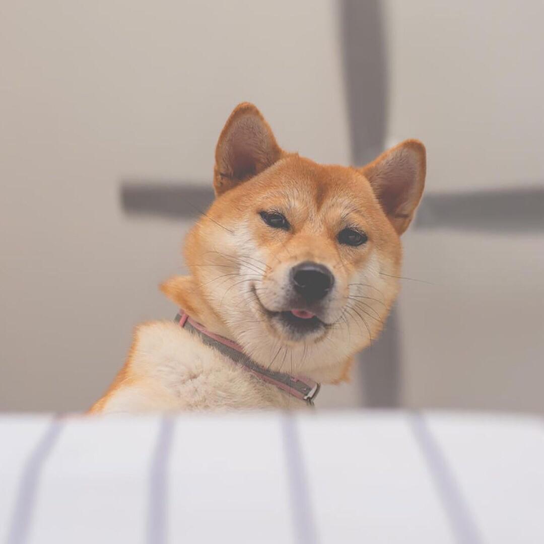 站在右边的小疯子