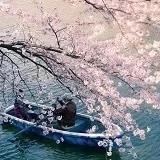 慕淇奥