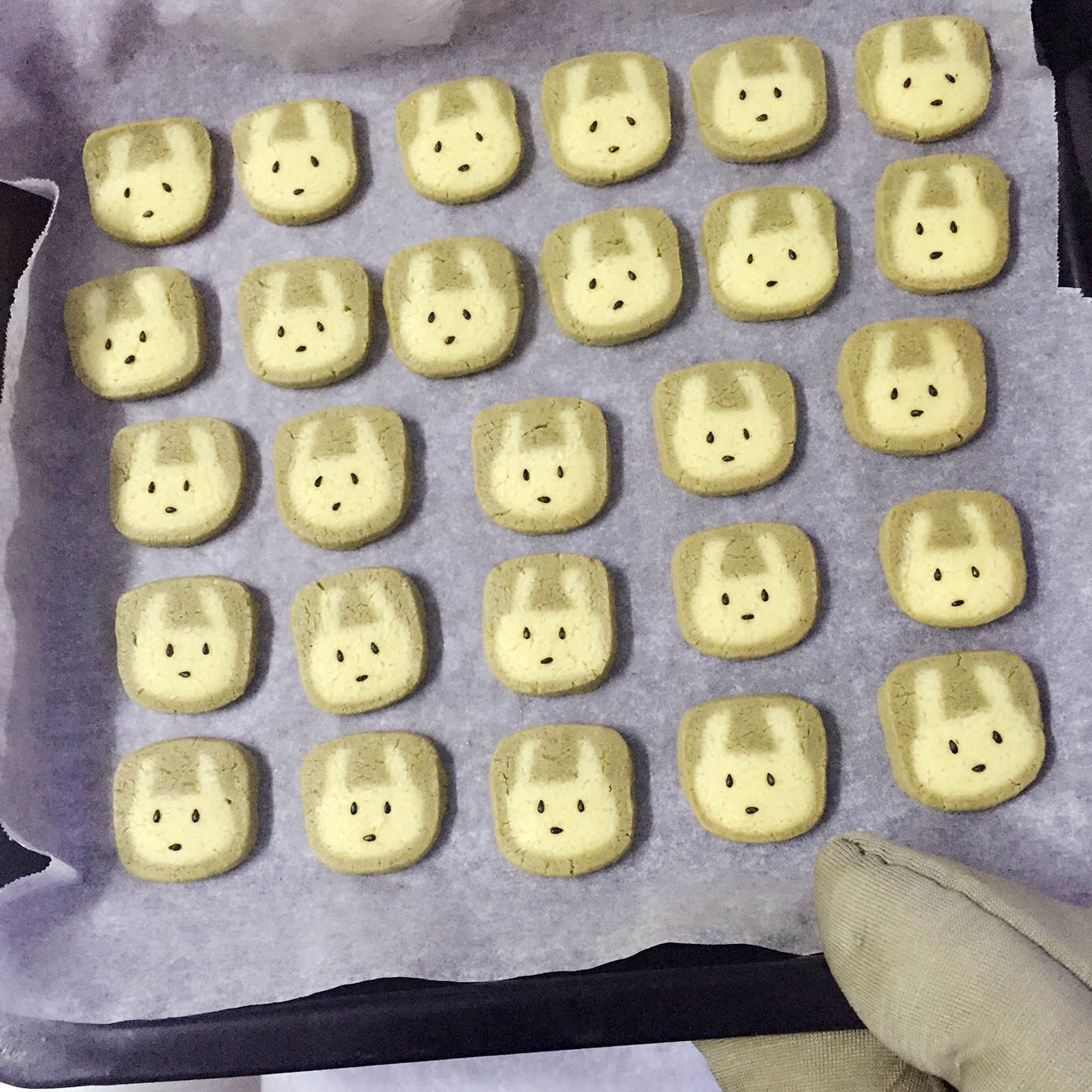 抹茶兔兔曲奇（比熊猫简单！超详细实物图+超良心手绘图）