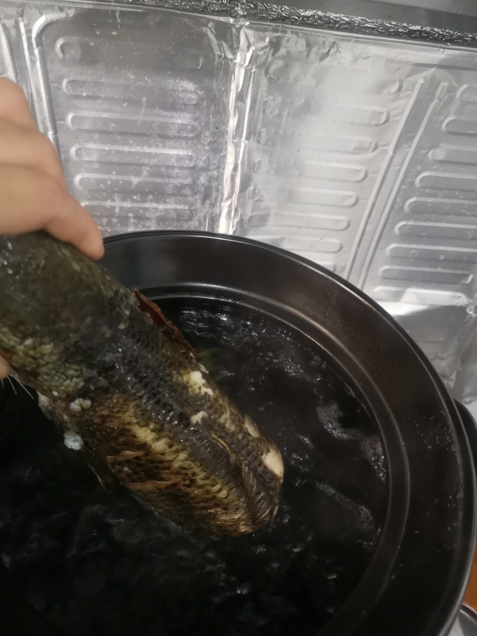广东靓汤西洋菜煲生（乌）鱼的做法 步骤11