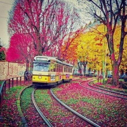 羊羊羊要瘦到90斤