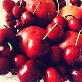 小灰灰爱小伟伟