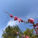 手机用户2845_ro3t