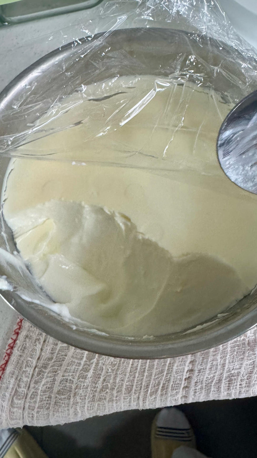 奶皮子酸奶（自用）