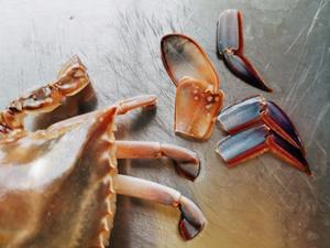 蒜蓉粉丝蒸梭子蟹的做法 步骤3