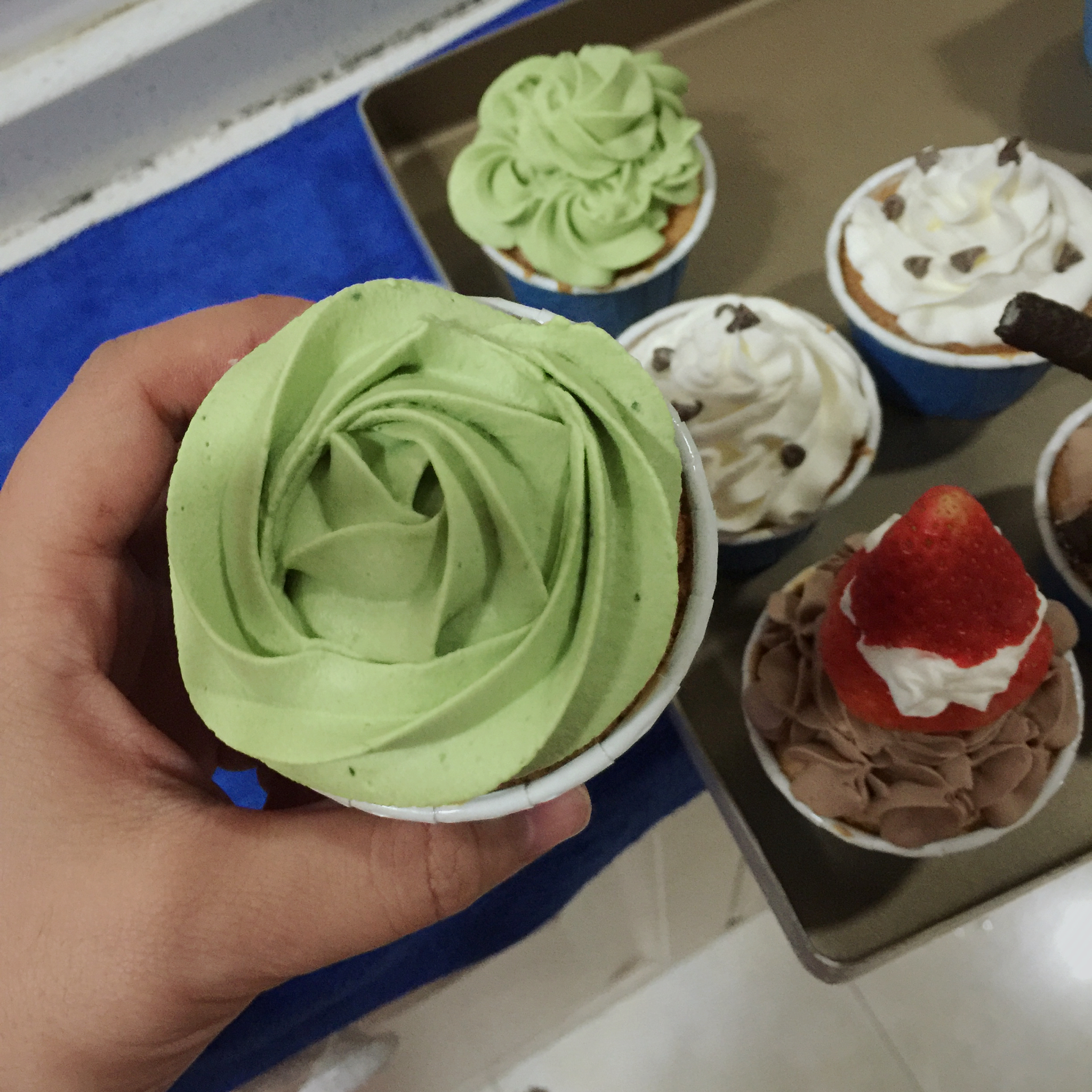 巧克力海绵杯子蛋糕