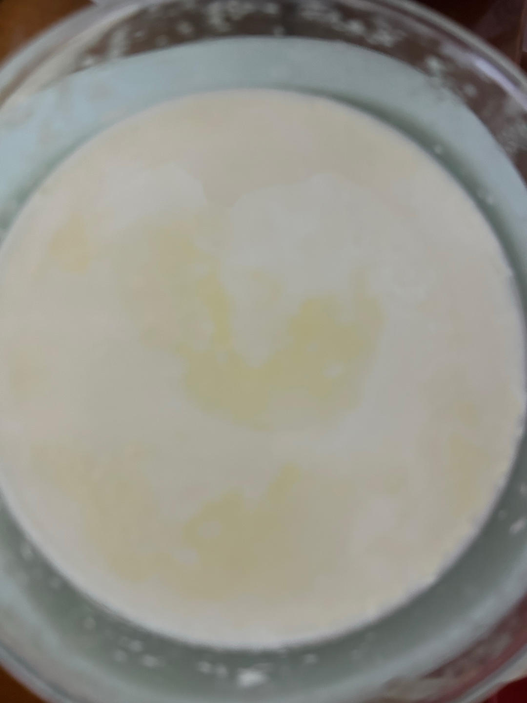 自制酸奶（奶粉版）