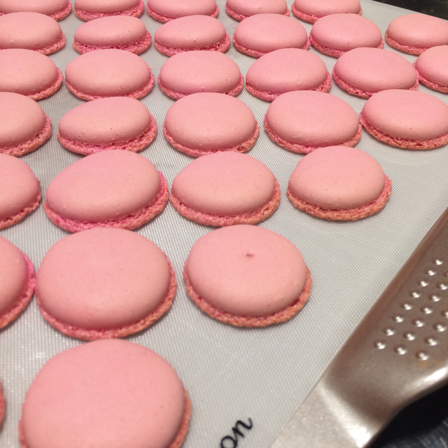 PH大师的马卡龙