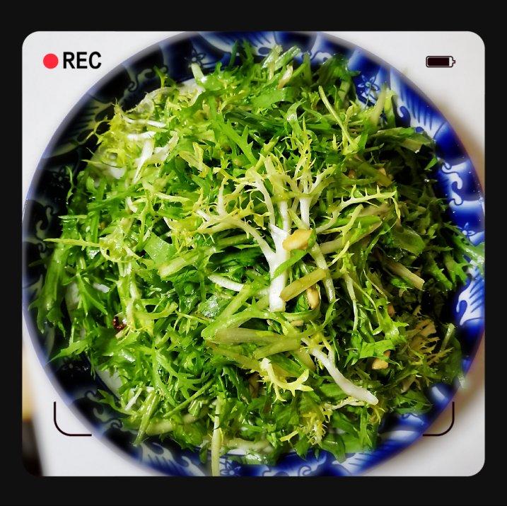 呛拌苦菊