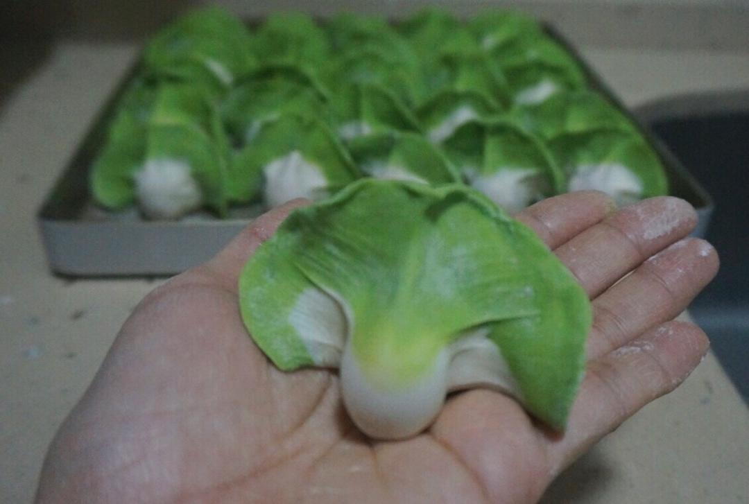 翡翠白玉白菜饺子详细版（附翡翠白玉白菜饺子包法，翡翠白玉饺子皮两种制法，面包机和面，翡翠白玉烧卖，各种馅料搭配）