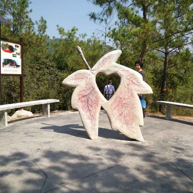 手机用户7845_pj7y