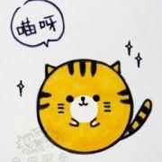 我是喵喵喵呀