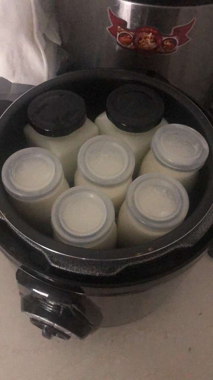 极简版自制酸奶（媲美酸奶机）