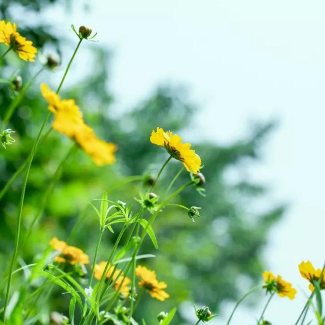 亲爱的一起吃饭