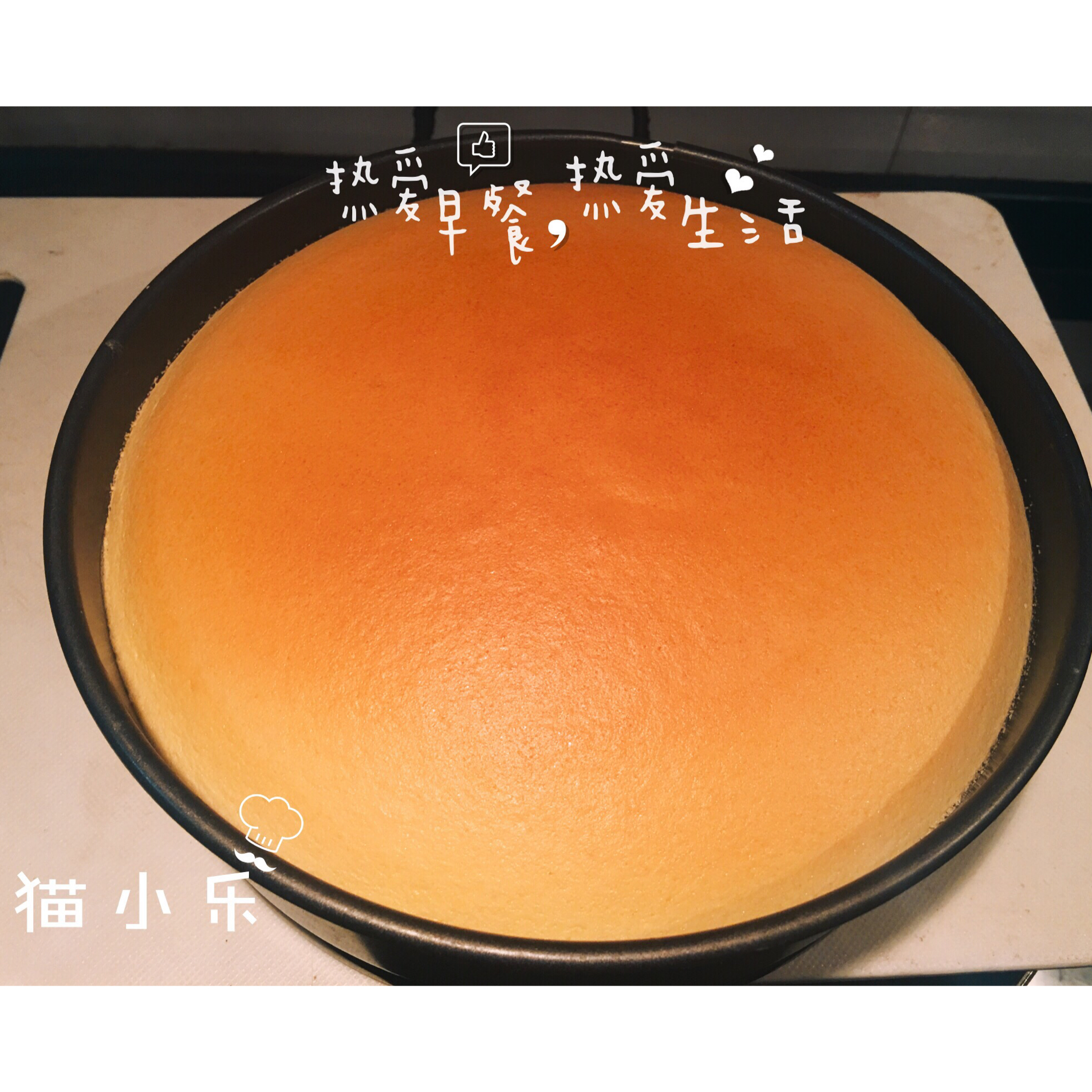 轻优格蛋糕