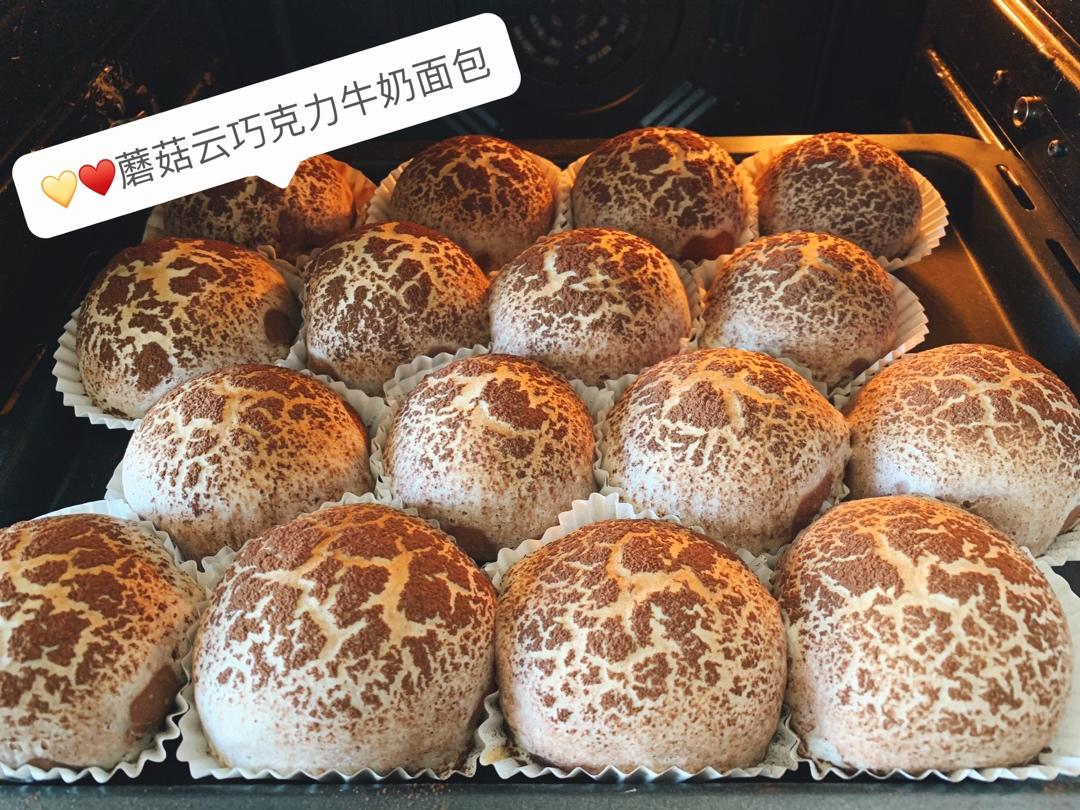 蘑菇云巧克力面包
