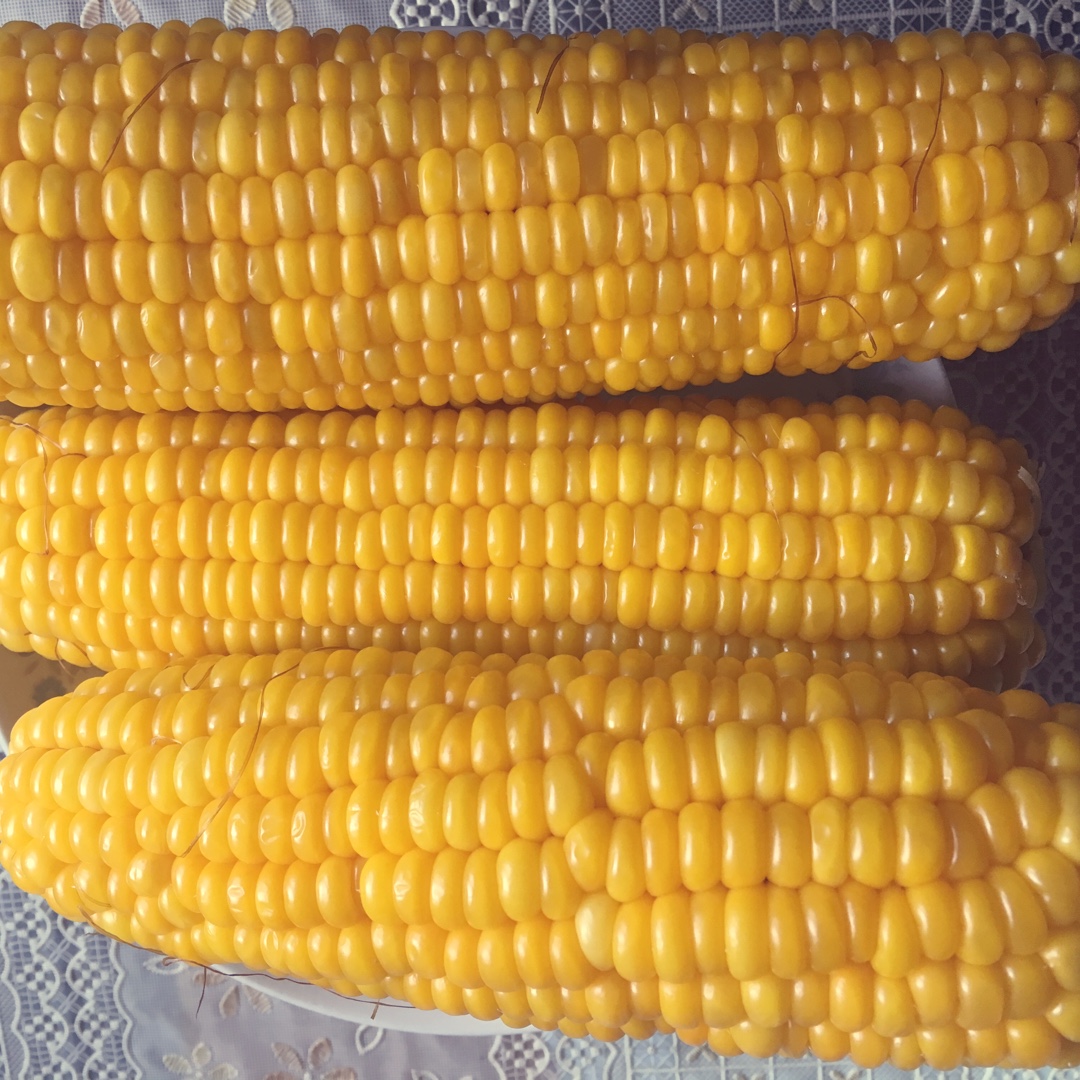 清煮甜玉米