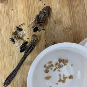 红枣枸杞炖雪蛤的做法 步骤2